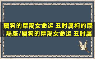 属狗的摩羯女命运 丑时属狗的摩羯座/属狗的摩羯女命运 丑时属狗的摩羯座-我的网站